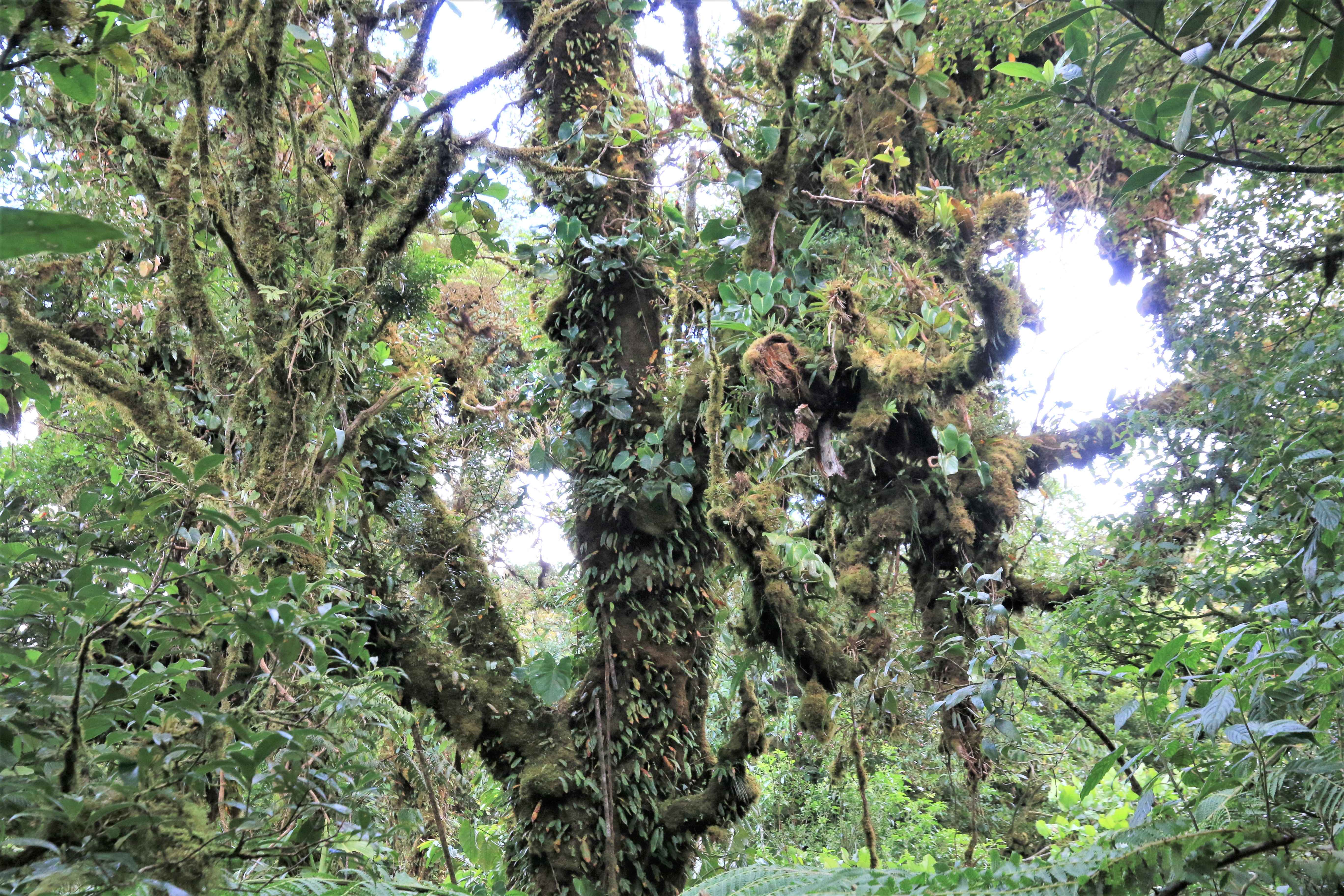 Costa Rica